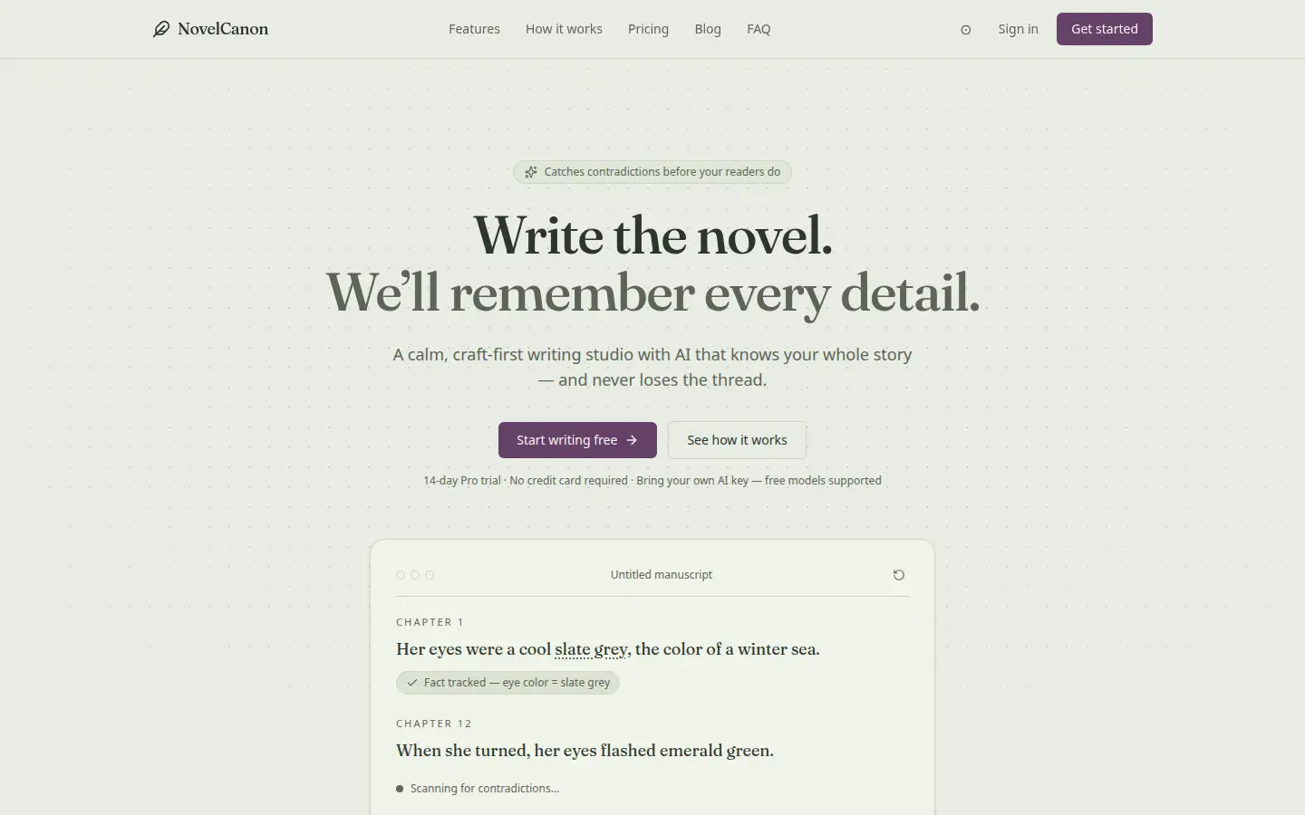 NovelCanon home page with the headline Write the novel. We'll remember every detail.